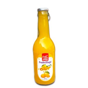 Fruit Village Mango Flavored Drink